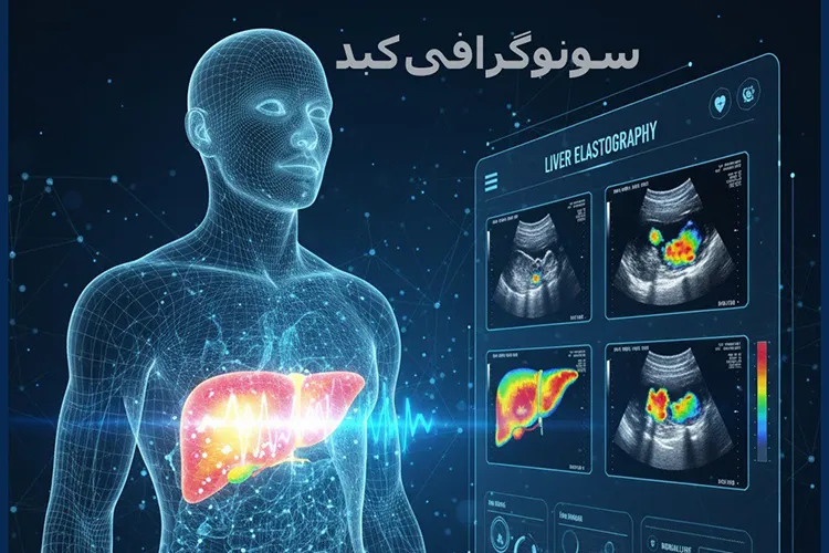 سونوگرافی کبد
